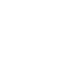 Icon Webdesign mit Liebe